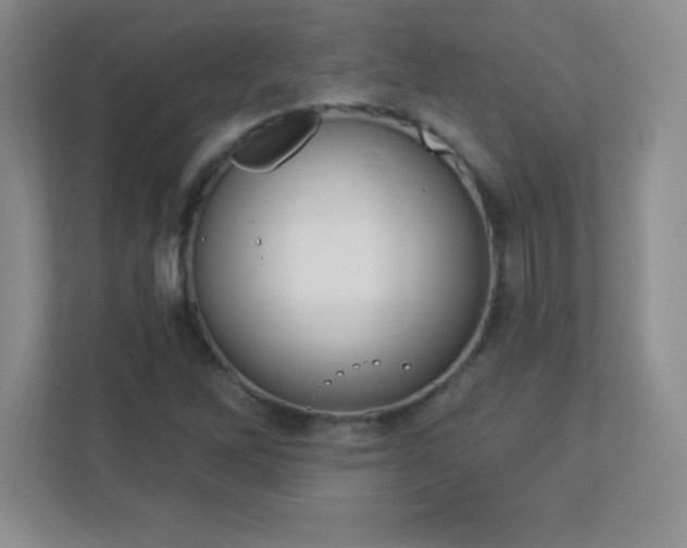 X0000113051262200909031325