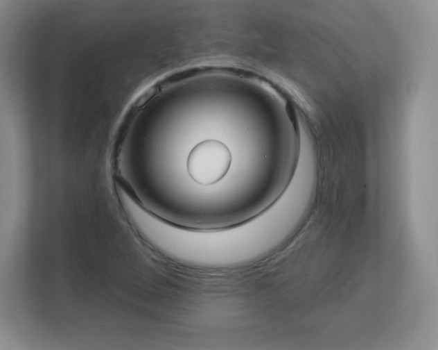 X0000113051264200909031325