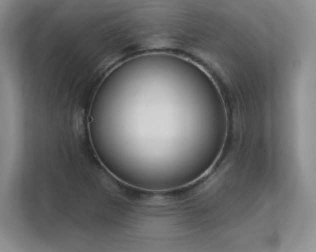 X0000113051265200909031325