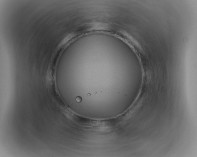 X0000113051266200909031325