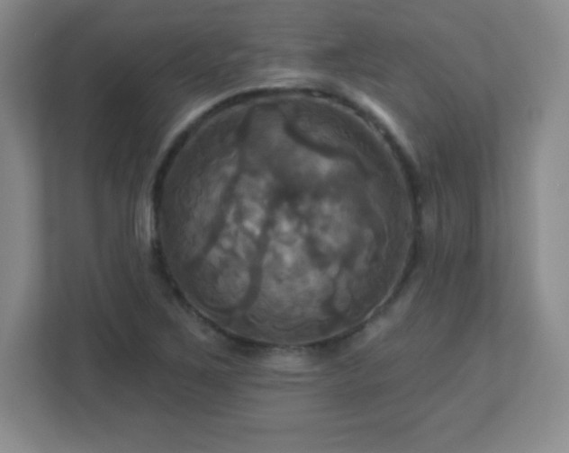 X0000113051267200909031325