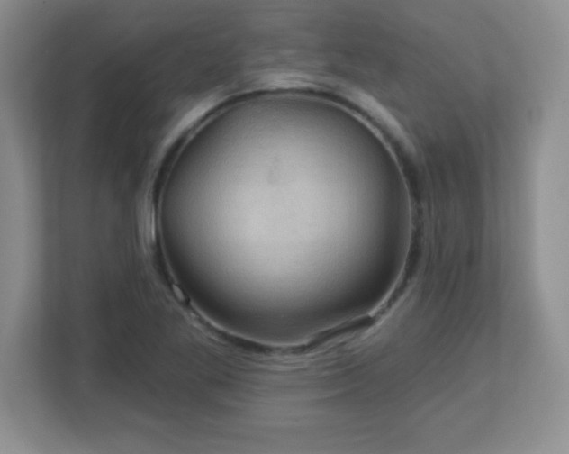 X0000113051269200909031325