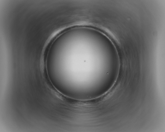 X0000113051270200909031325