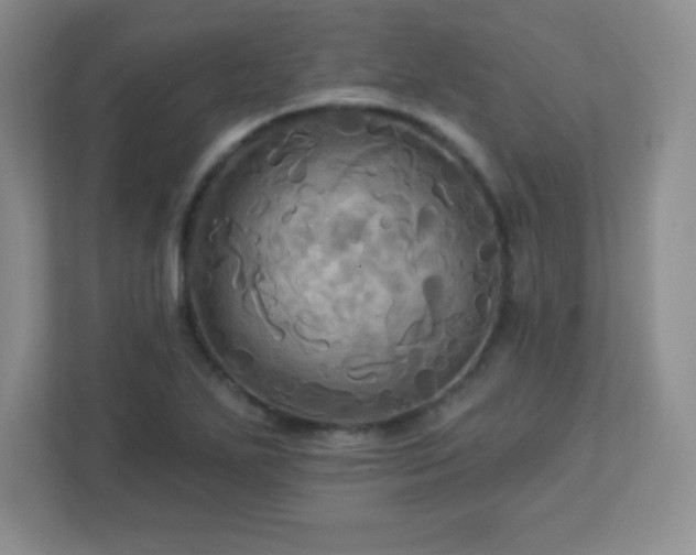 X0000113051271200909031325