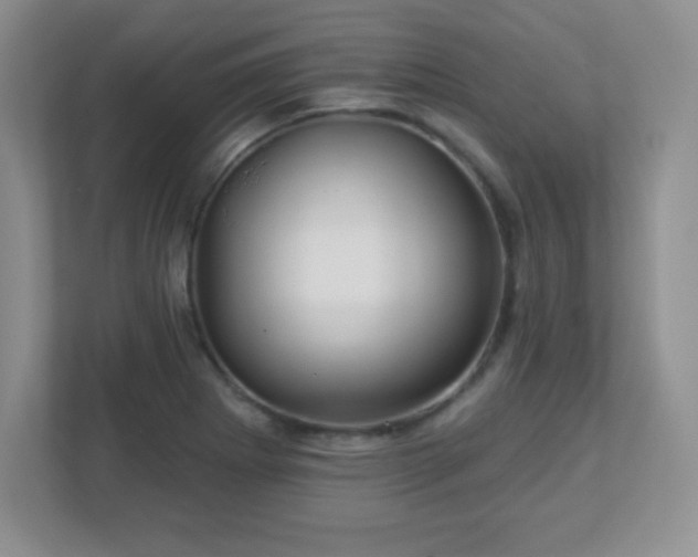 X0000113051273200909031324