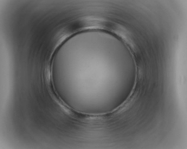 X0000113051274200909031324