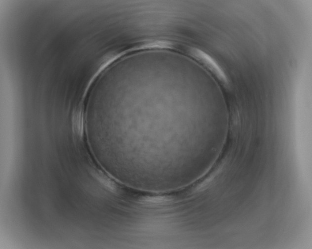 X0000113051276200909031324