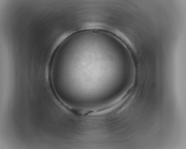 X0000113051277200909031324