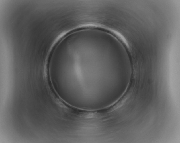 X0000113051279200909031324