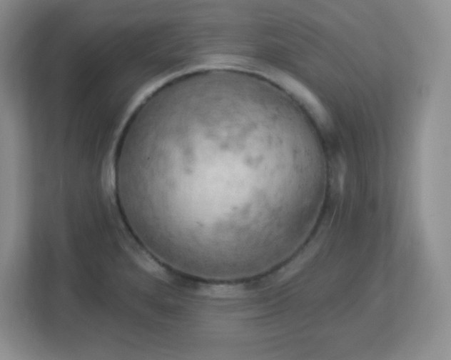 X0000113051280200909031324