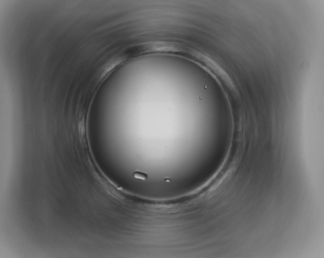 X0000113051281200909031324