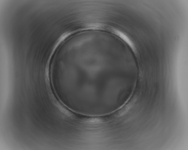 X0000113051283200909031324