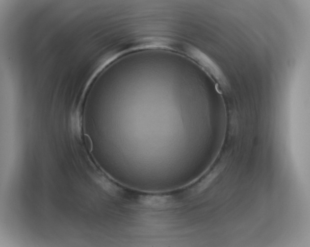 X0000113051284200909031324