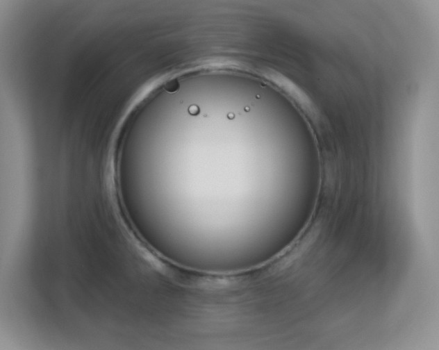 X0000113051286200909031324