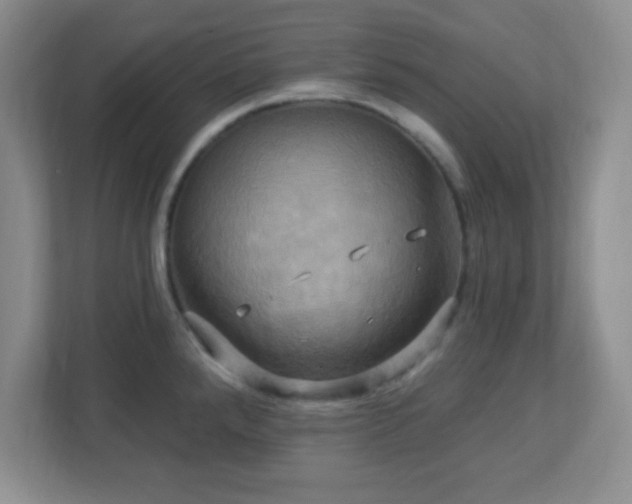 X0000113051288200909031324