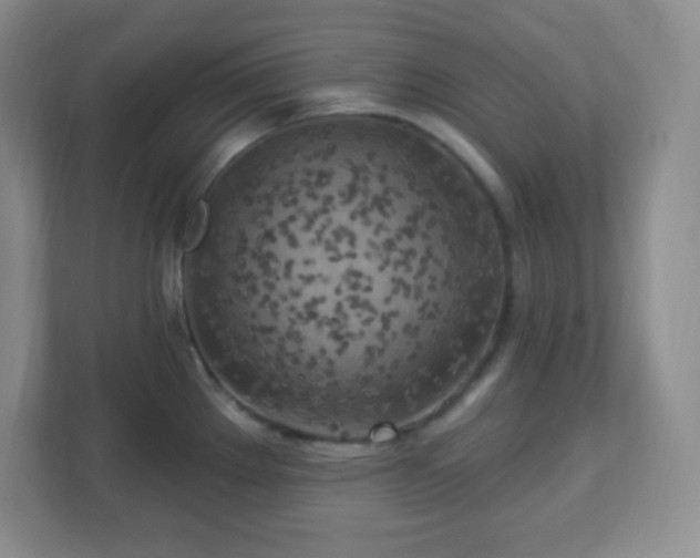 X0000113051289200909031324