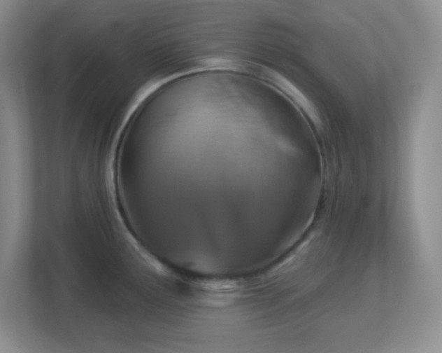 X0000113051291200909031324