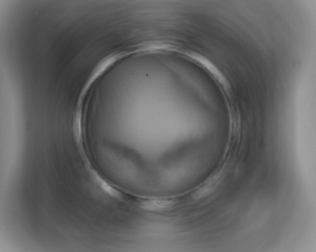 X0000113051294200909031324