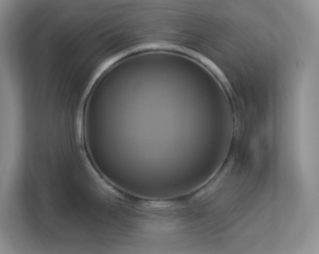 X0000113051295200909031324