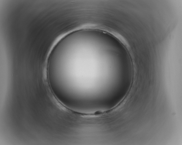 X0000113051296200909031324