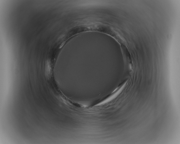 X0000113051298200909031324