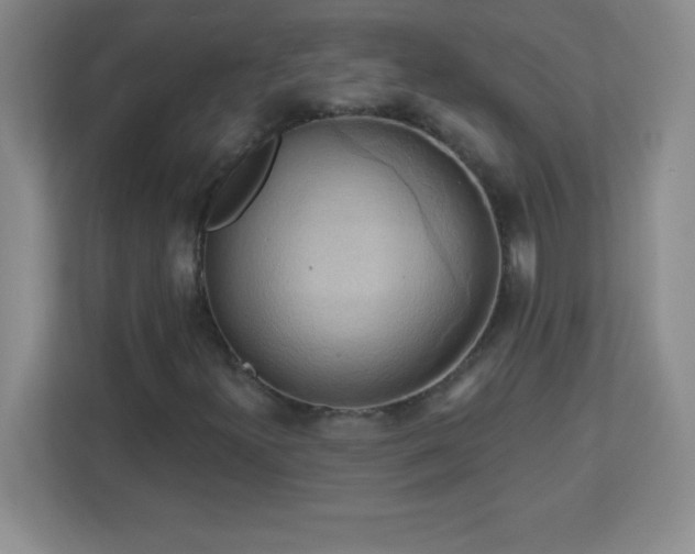 X0000113051300200909031324