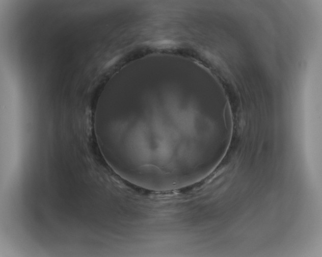 X0000113051301200909031324