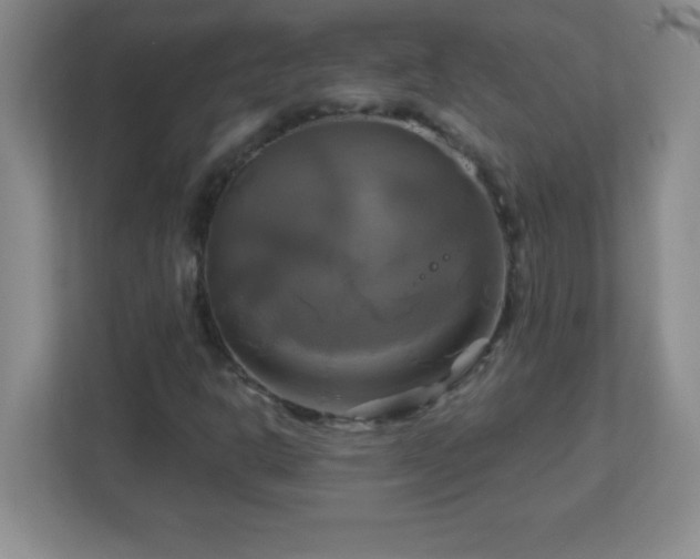 X0000113051302200909031324