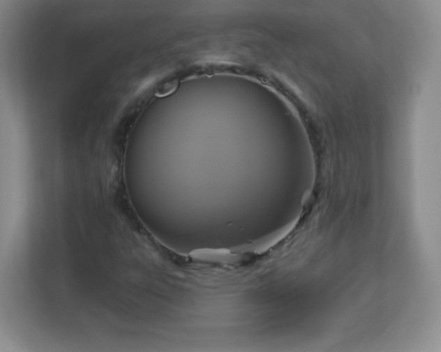 X0000113051303200909031324