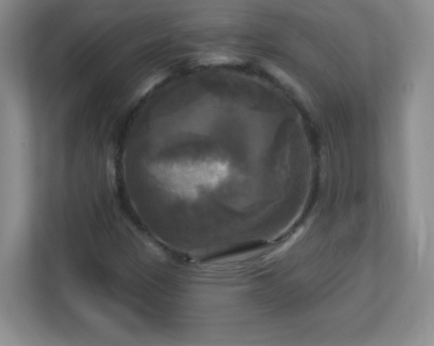 X0000113051305200909031324