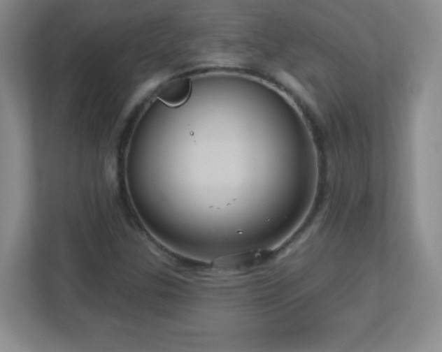 X0000113051307200909031324