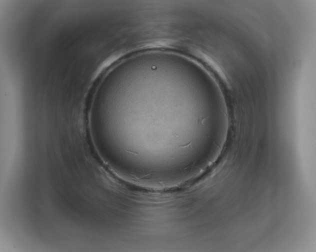 X0000113051308200909031324