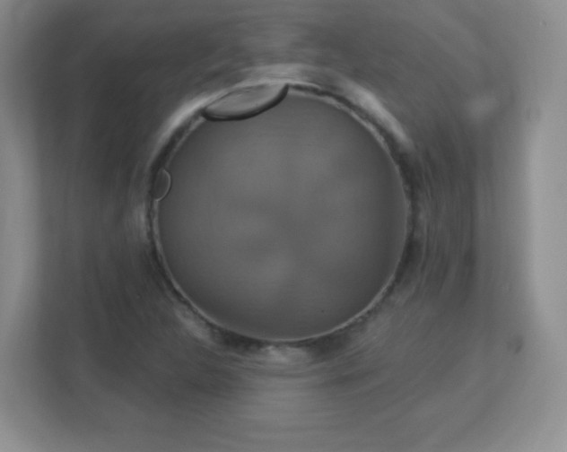 X0000113051312200909031324