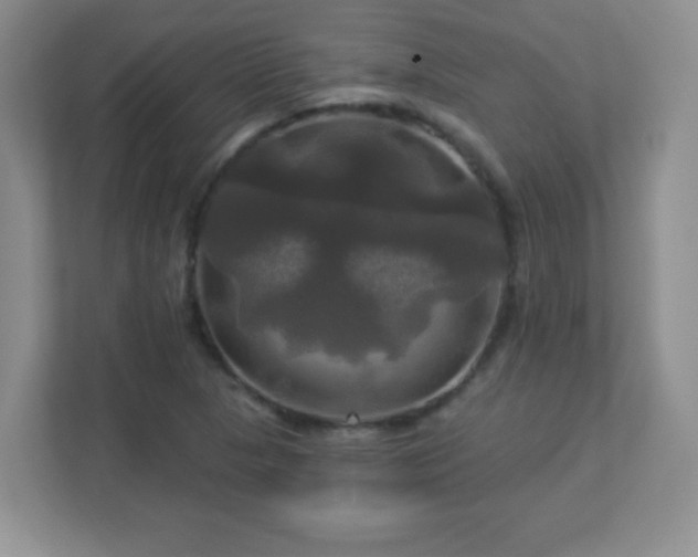 X0000113051313200909031324