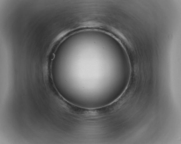 X0000113051315200909031324