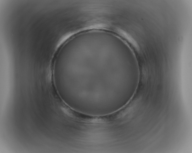 X0000113051316200909031324