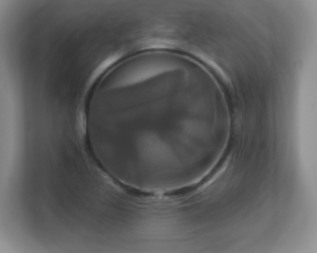 X0000113051317200909031324