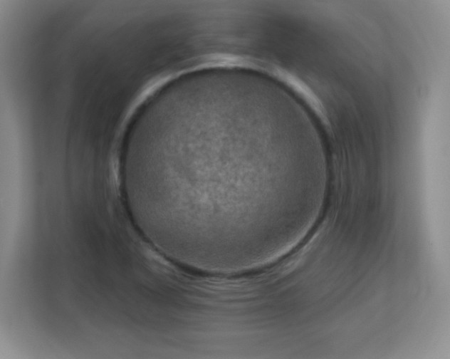 X0000113051318200909031324