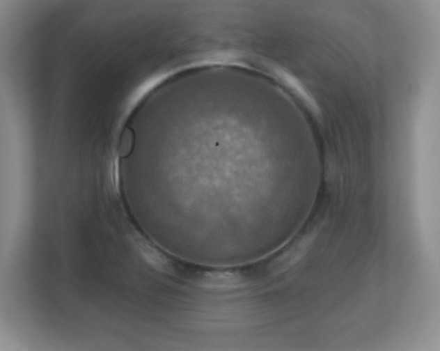 X0000113051320200909031324