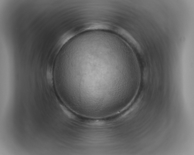 X0000113051321200909031324