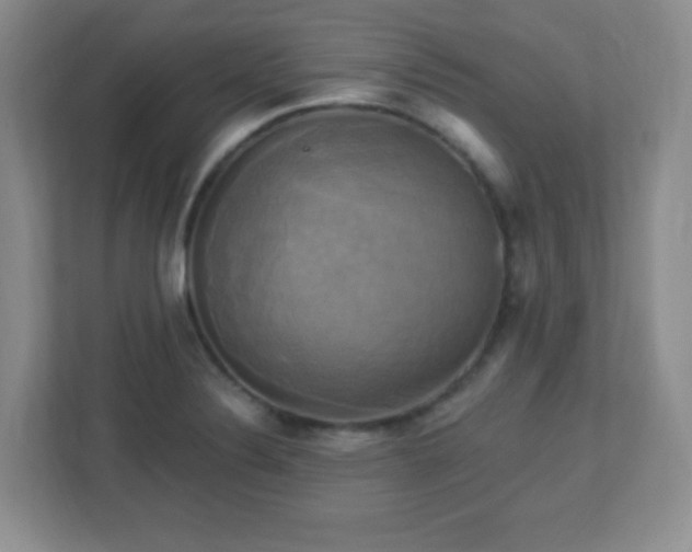 X0000113051324200909031324