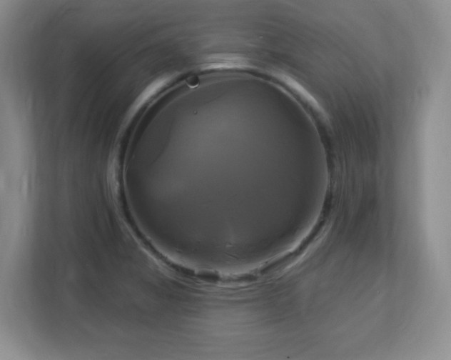 X0000113051325200909031324