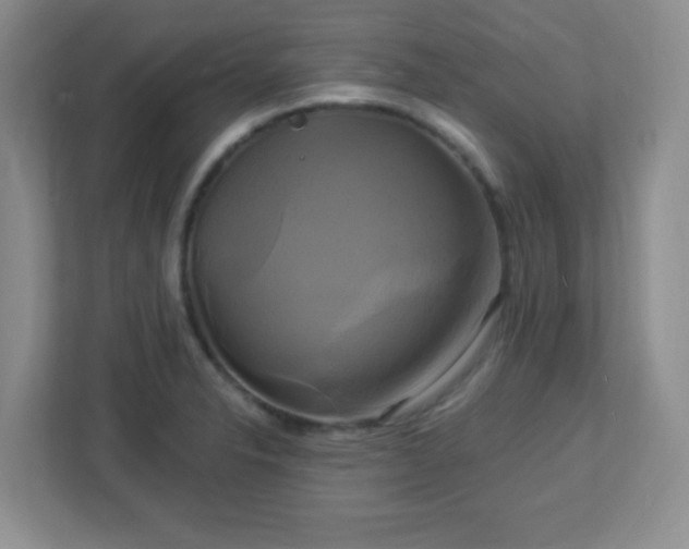 X0000113051326200909031324