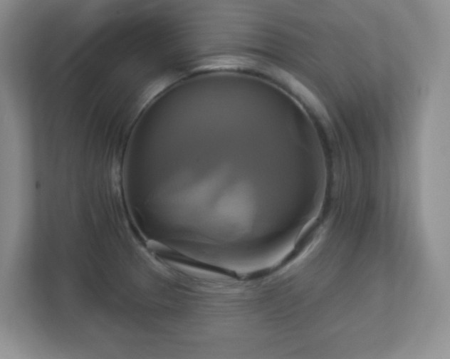 X0000113051329200909031324