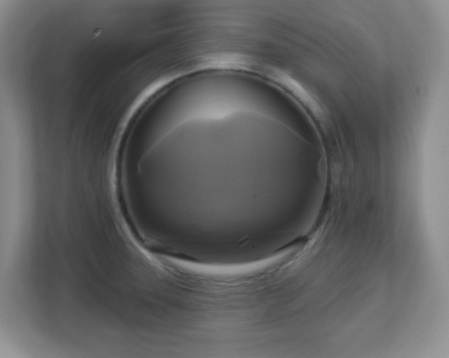 X0000113051331200909031324