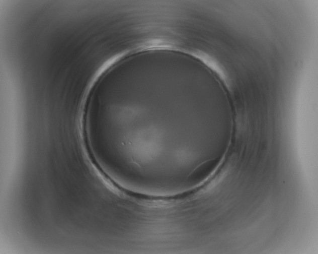 X0000113051333200909031324