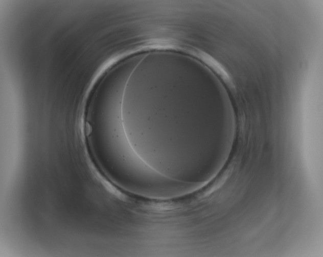 X0000113051334200909031324