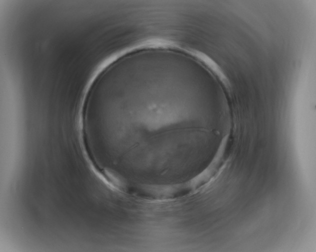 X0000113051335200909031324