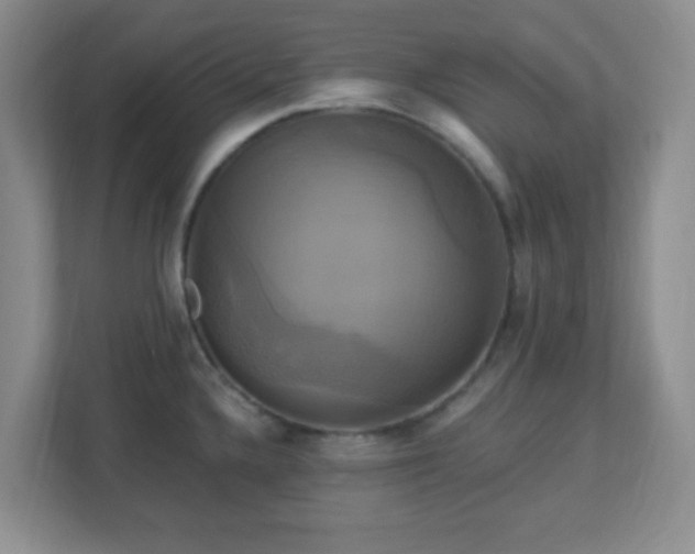 X0000113051336200909031324