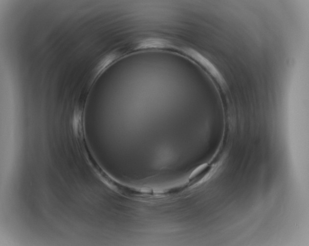 X0000113051337200909031324